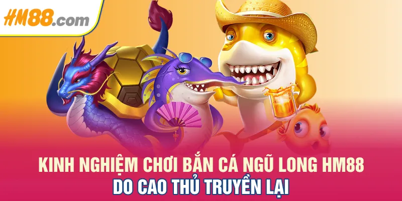 Kinh nghiệm chơi bắn cá Ngũ Long HM88 do cao thủ truyền lại