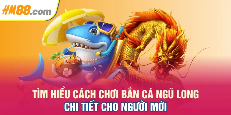 Tìm hiểu cách chơi bắn cá Ngũ Long chi tiết cho người mới