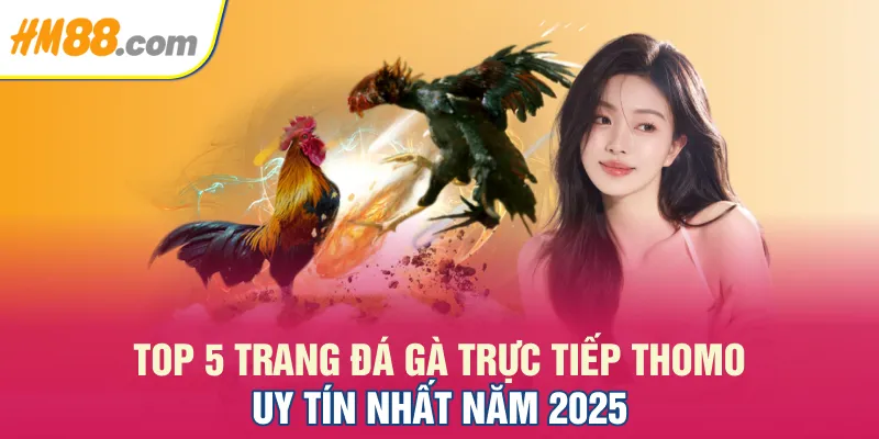 Top 5 Trang Đá Gà Trực Tiếp Thomo Uy Tín Nhất Năm 2025